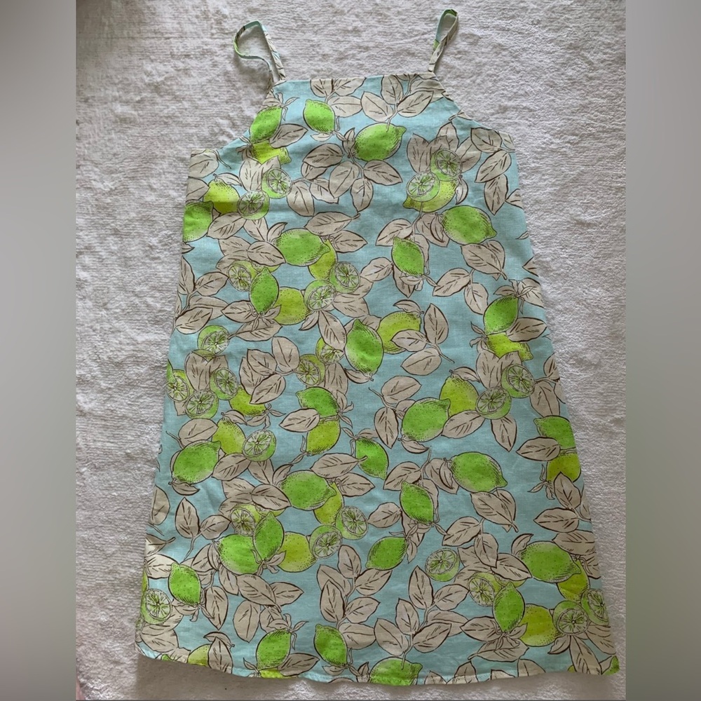 Zara Sundress Citrus Lemon/Limes Robin Egg Blue 13-14 Yrs Cotton/Lined Dress NWT